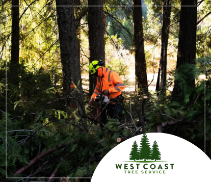 West Coast Tree Service